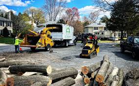 Seasonal Cleanup (Spring/Fall) in Fox River Grove, IL